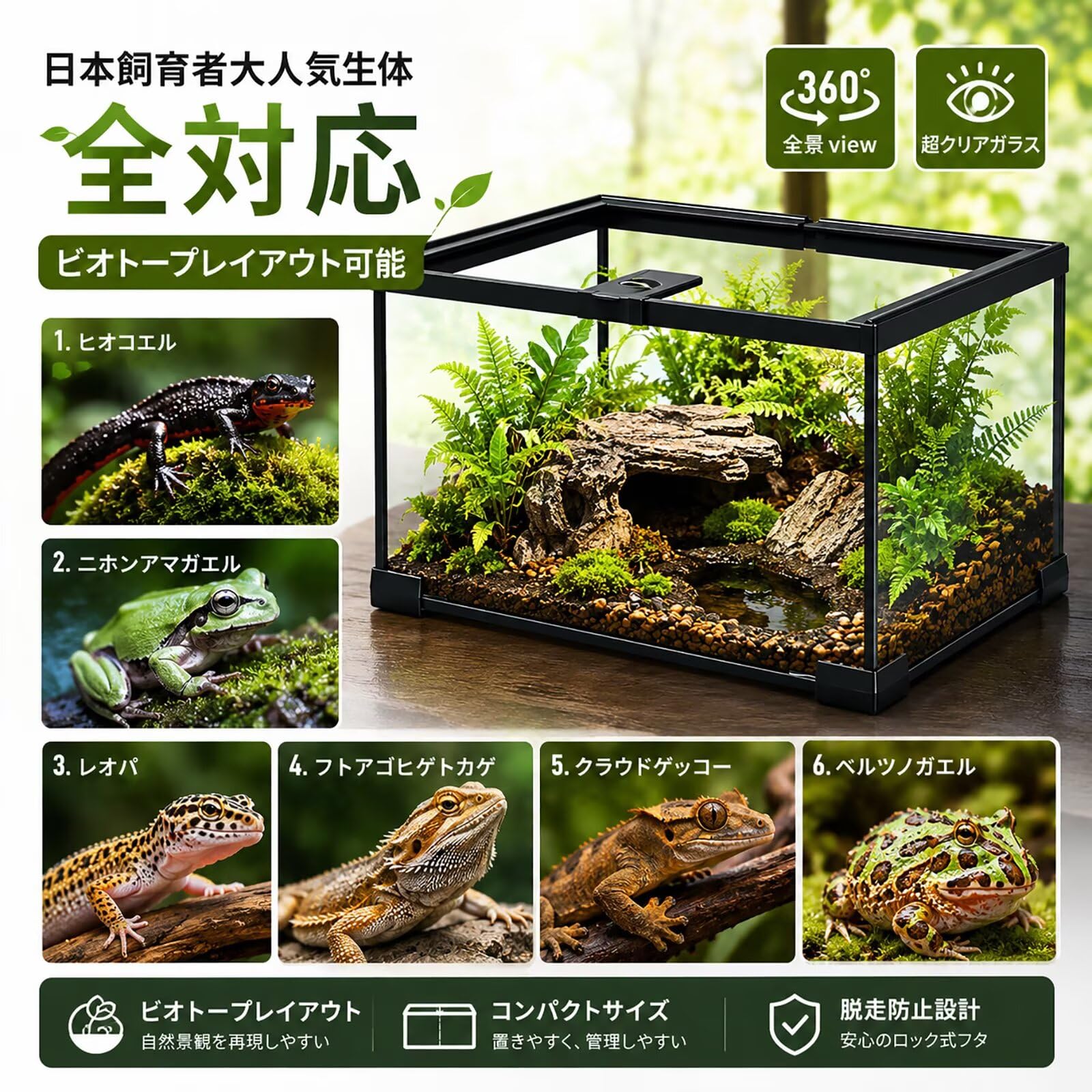 爬虫類用 ガラス飼育ケージ他付属品 Amazon | 爬虫類 ケージ 爬虫類 ガラステラリウム 飼育ケージ 高透光